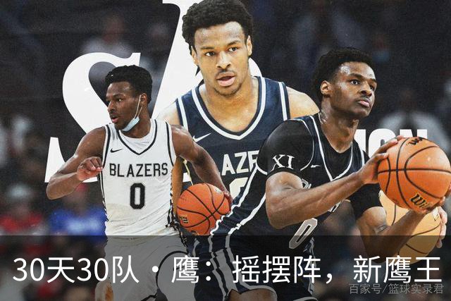 30天30队·鹰：摇摆阵，新鹰王